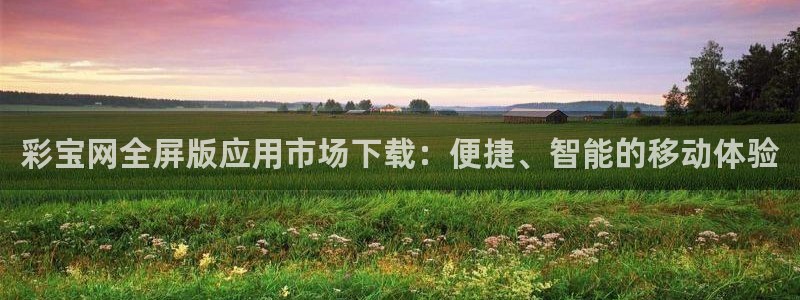 彩宝网全屏版应用市场下载：便捷、智能的移动体验