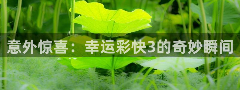 7790必发集团(中国)