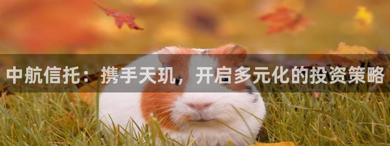 必发集团下载：中航信托：携手天玑，开启多元化的投资策略