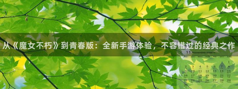 6690必发集团下载：从《魔女不朽》到青春版：全新手游体验，不容错过的经典之作