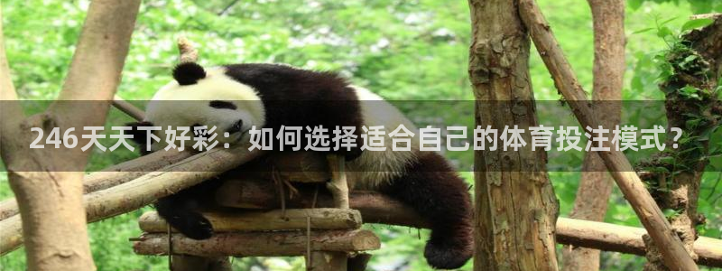 7790必发集团app：246天天下好彩：如何选择适合自己的体育投注模式？