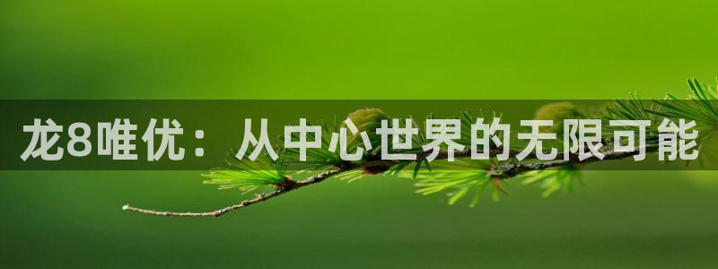 7790必发集团下载：龙8唯优：从中心世界的无限可能