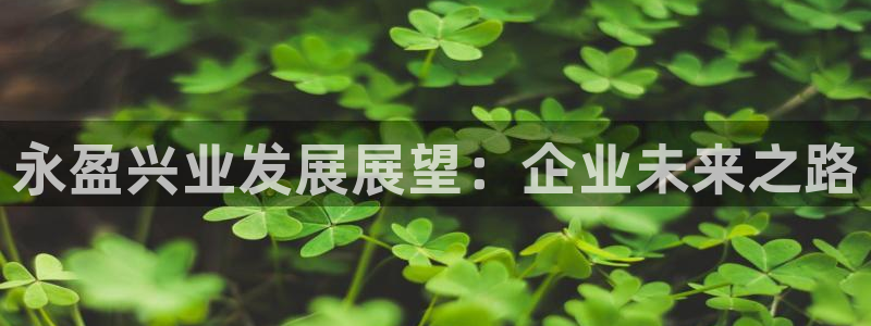 7790必发集团下载：永盈兴业发展展望：企业未来之路
