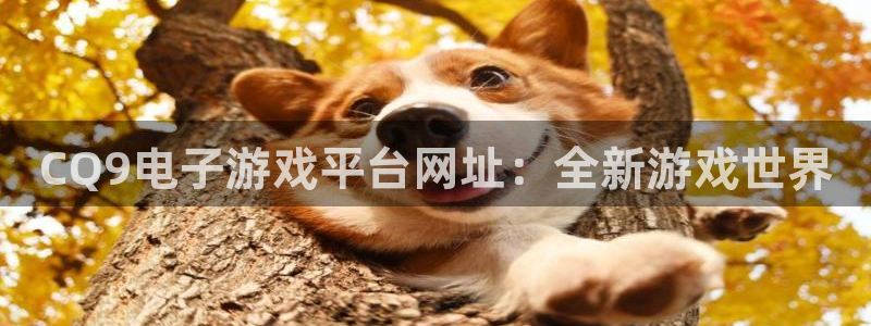 7790必发集团网址：CQ9电子游戏平台网址：全新游戏世界